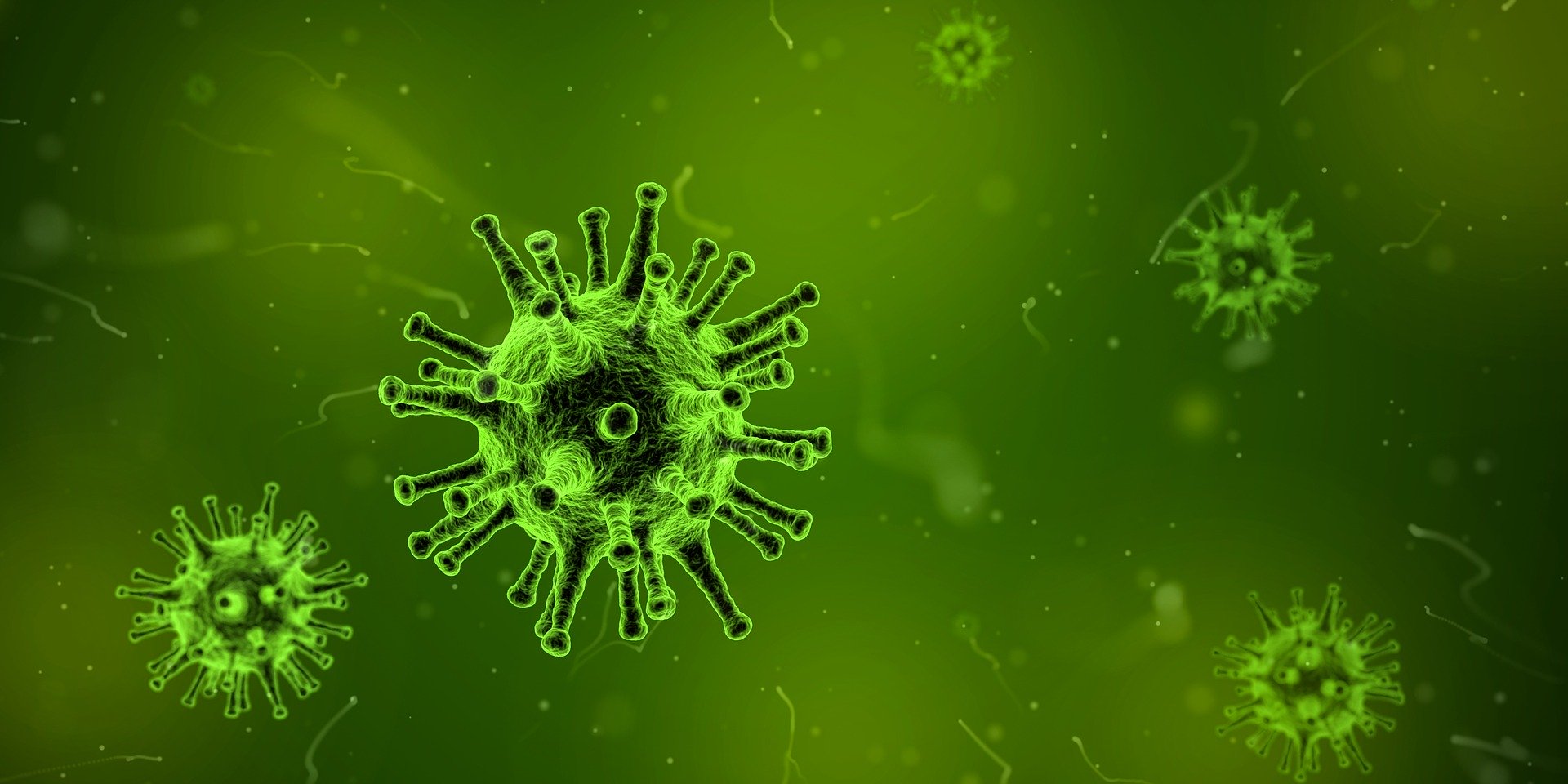 green image of viruses