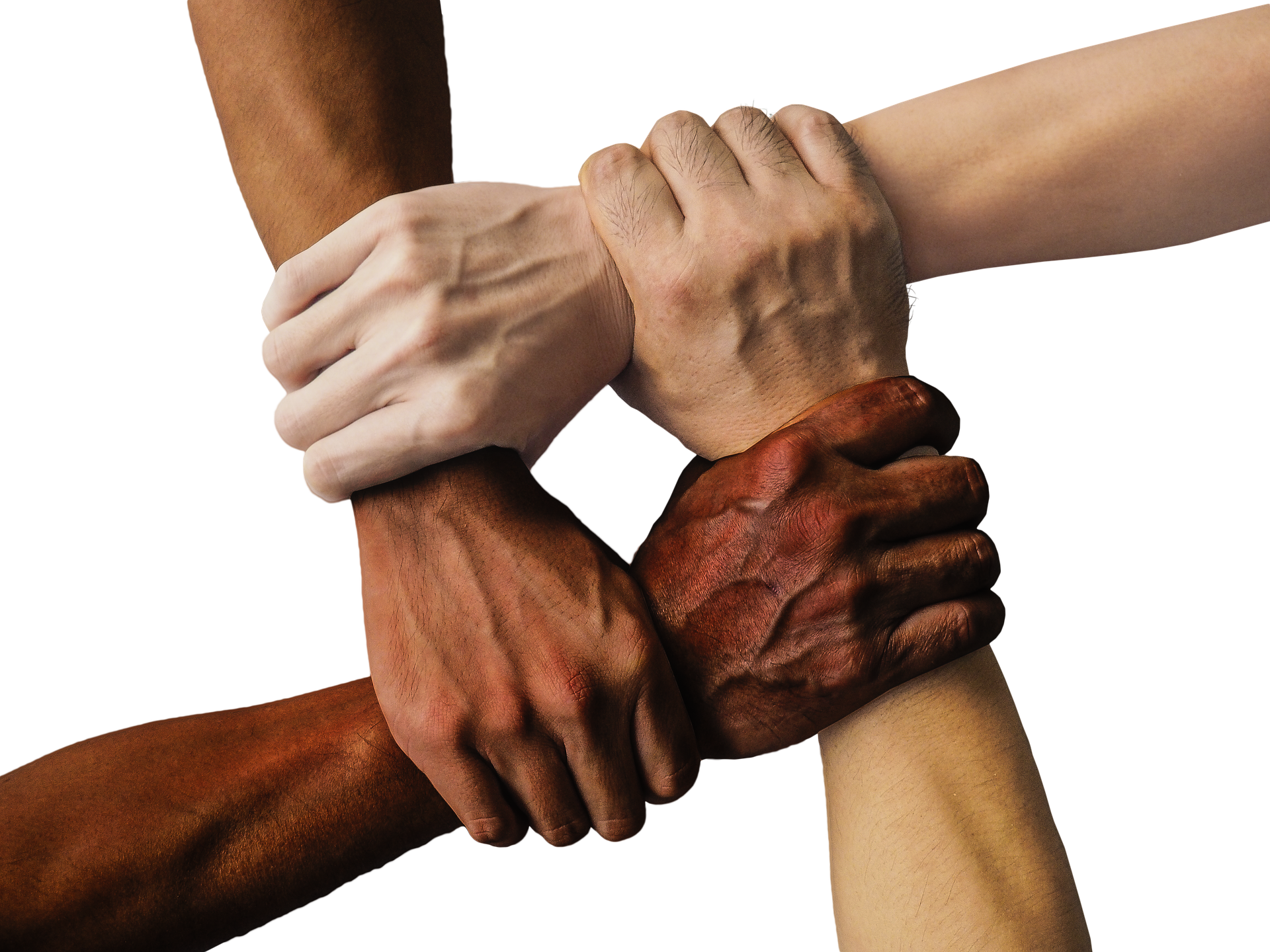 arms and hands of several shades grasp each others' wrists